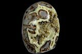 Polished, Calcite Crystal Filled Septarian Geode - Utah #167885-1